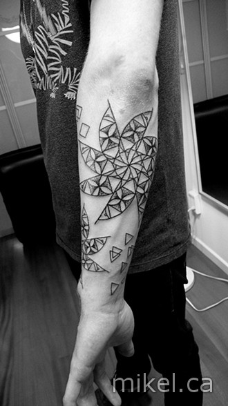 adams arm