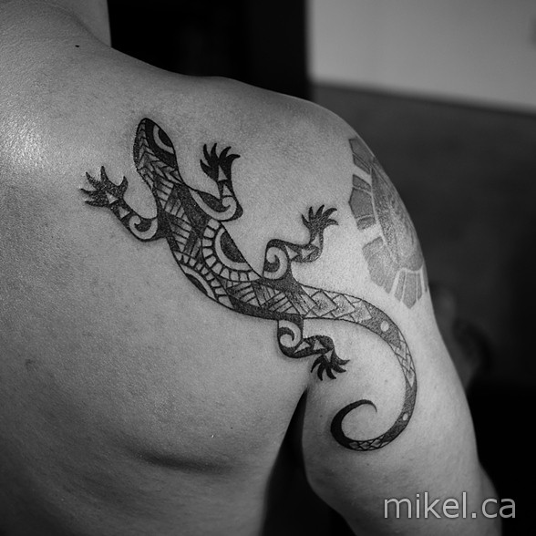 lizard